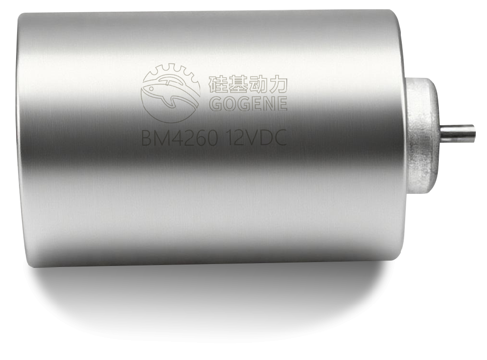 Leaf Sweeper Brushless DC Motor + Drive Solution: Efficient and Stable Power for Outdoor Cleaning Equipment